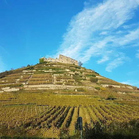 Bei Freiburg Im Breisgau *